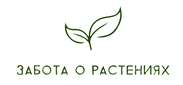 Забота о растениях